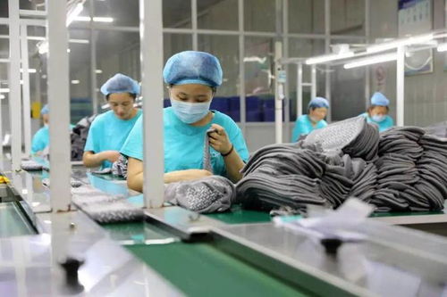 硬核探厂 冀州辅具区域公共品牌如何用品质征服工业品市场
